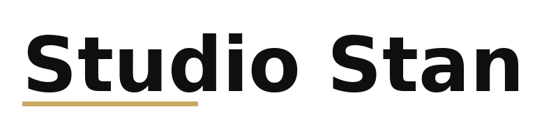 Studio Stan logo